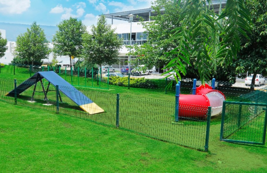 6 trucos para enseñarle a tu mascota en el pet park de Natura Bosque Residencial